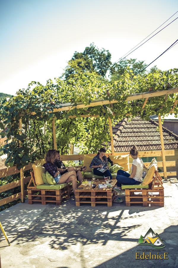Guesthouse Edelnice Gornja Trepča Zewnętrze zdjęcie